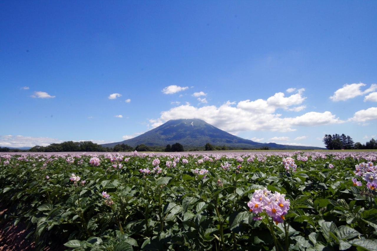 Niseko Northern Resort, An'Nupuri Exteriör bild